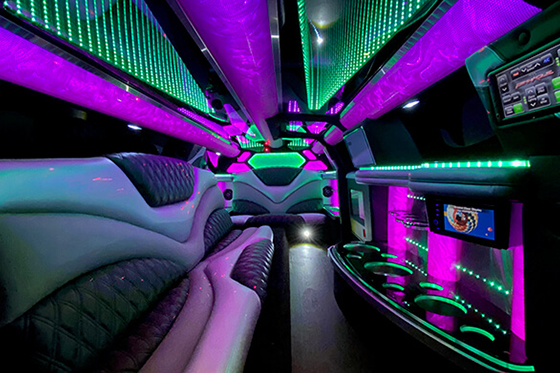 10 passenger limousine bellevue wa