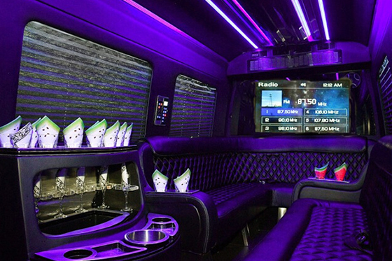 14-passenger sprinter interior 1