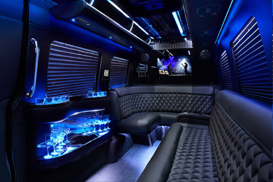 14-passenger sprinter interior 2